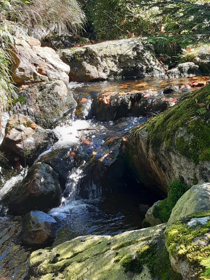 AnNo - Wohlfühlen am Bachal in Altschönau Neuschönau Exterior foto